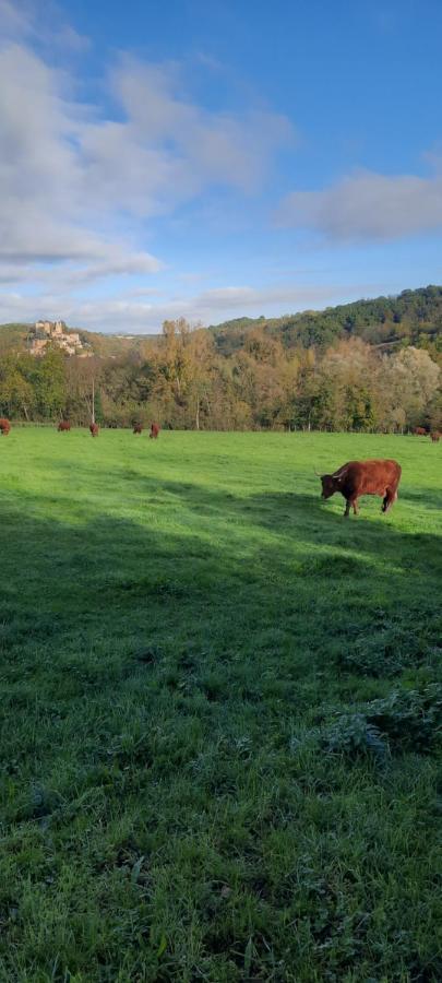 Le Cocon Beaujolais Villa Chatillon  Eksteriør bilde