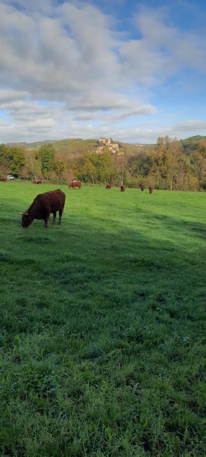 Le Cocon Beaujolais Villa Chatillon  Eksteriør bilde